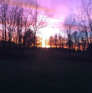 Meet your Posher, Paige